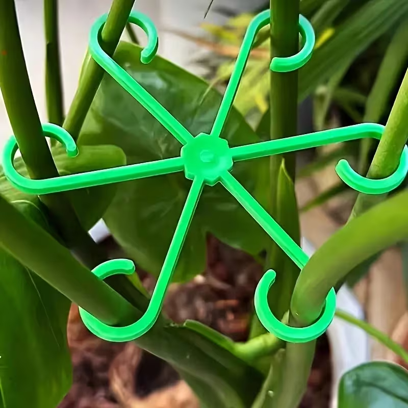 Variegated Monstera Node - Conjunto de 8 Suportes para Caules