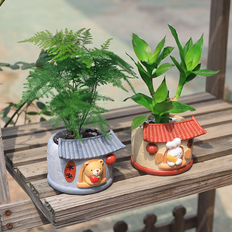 Snake Plant Ceramic - Chinese Traditional Farmhouse Planters para plantas
