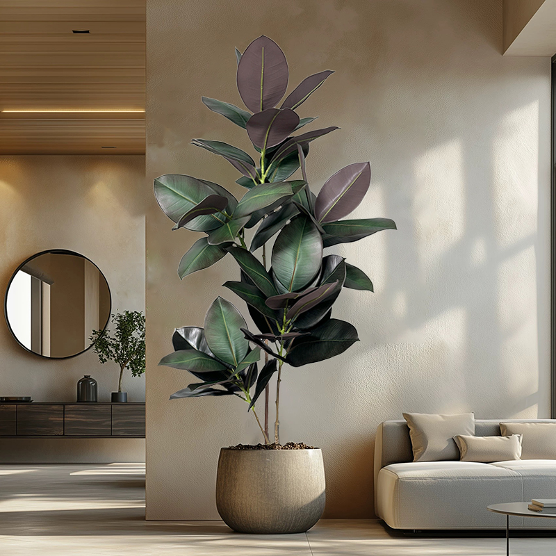 Rubber Plant Ficus - Árvore Ficus Artificial de 70-150cm, Plantas