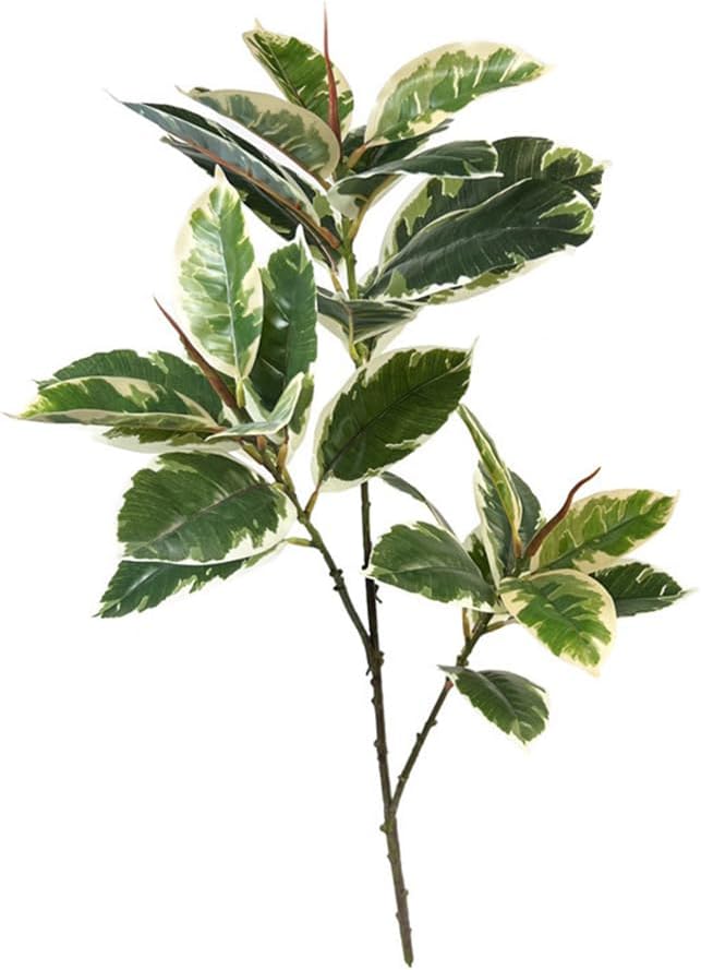 Rubber Plant Ficus - Ficus tineke planta artificial 31 