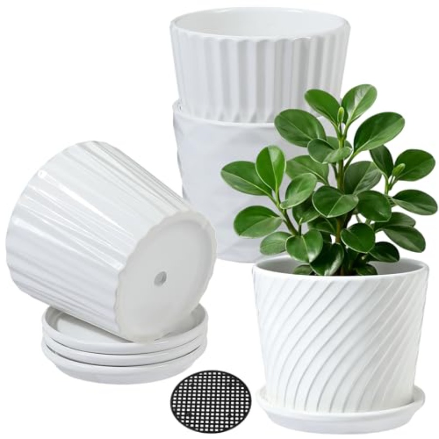 Snake Plant Ceramic - Vasos de Plantas - Vasos Cilíndricos