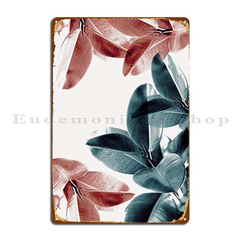 Rubber Plant Ficus - Folhas de plantas de borracha, folhas