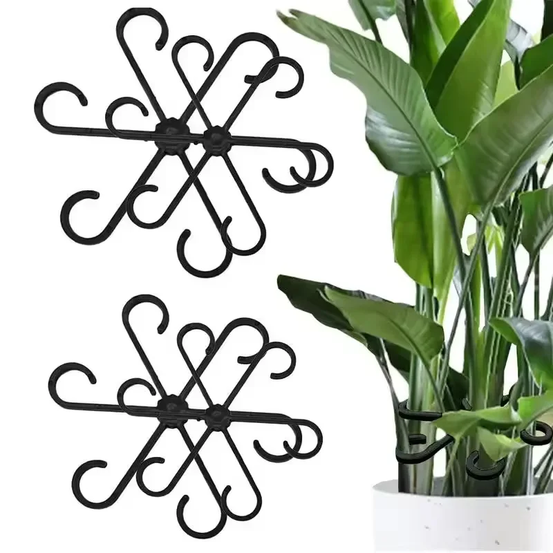 Variegated Monstera Node - Suporte para Folhas de Alocasia e