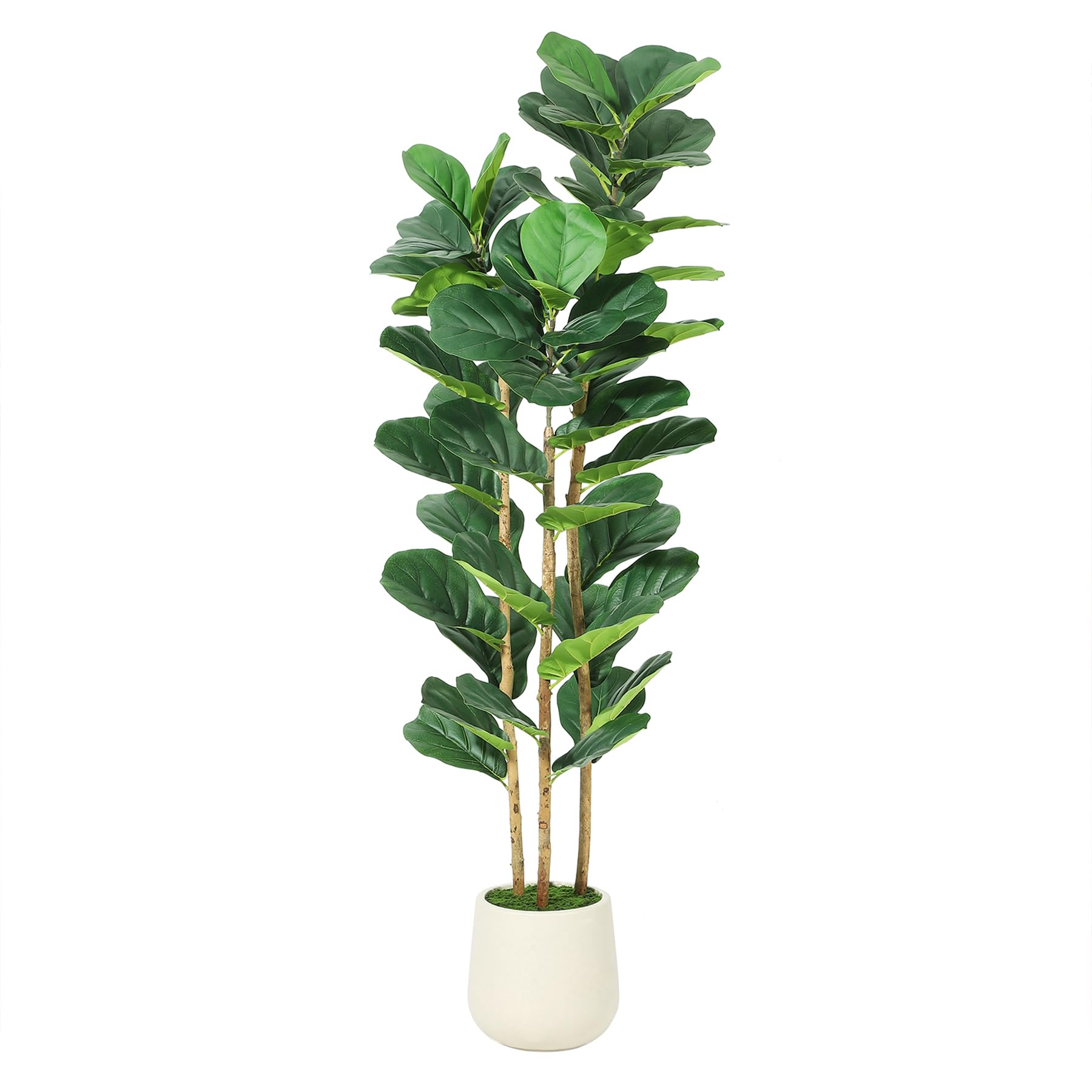 Figueira Artificial Fiddle Lea - Rubber Plant Ficus avaliação e preço