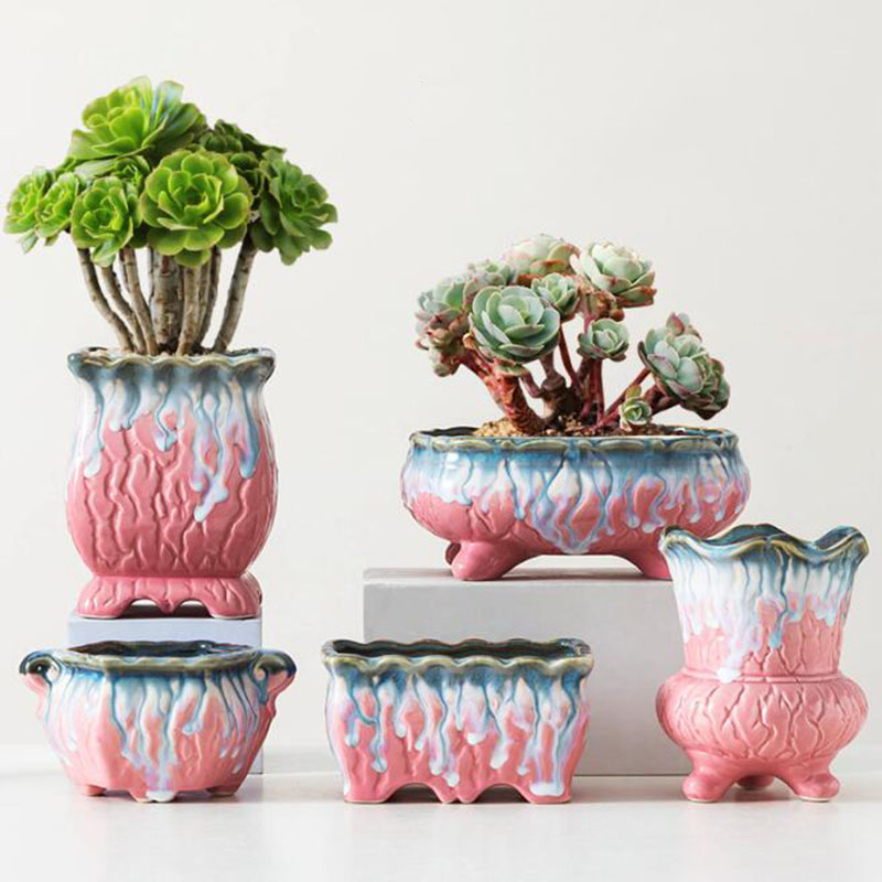 Vaso vitrificado criativo, vas - Snake Plant Ceramic avaliação e preço