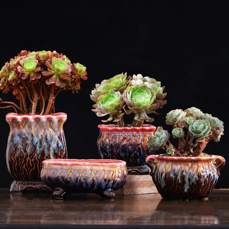 Vaso vitrificado criativo, vas - Snake Plant Ceramic avaliação e preço