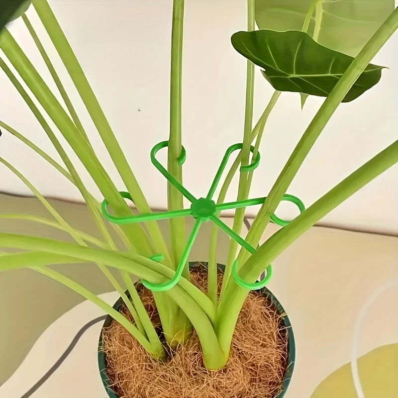 Conjunto de 8 Suportes para Ca - Variegated Monstera Node avaliação e preço