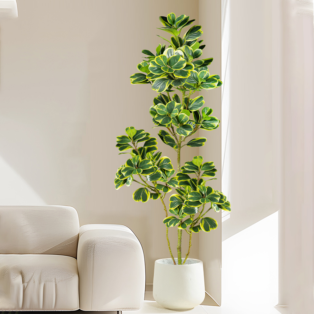 Árvore ficus artificial de 76c - Rubber Plant Ficus avaliação e preço
