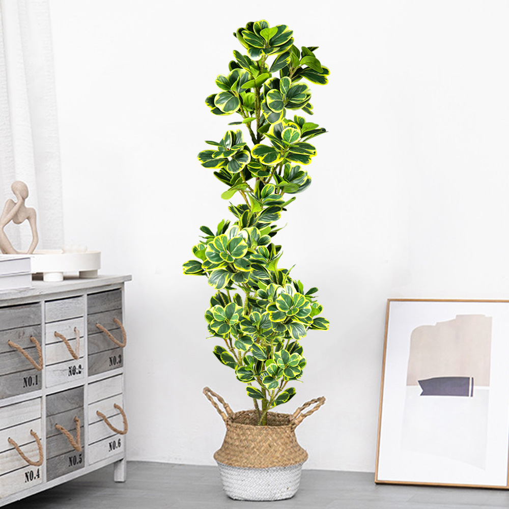 Árvore ficus artificial de 76c - Rubber Plant Ficus avaliação e preço