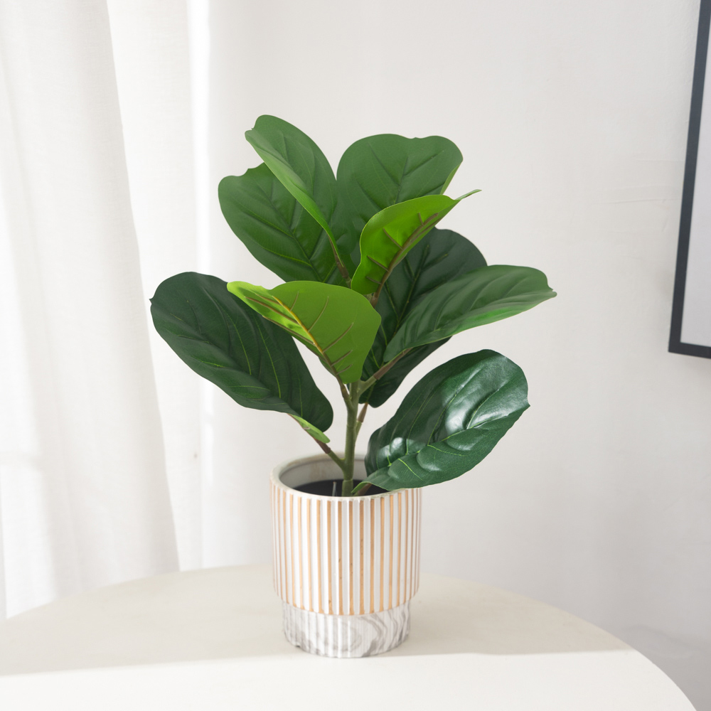 38cm 9 garfos plantas artifici - Rubber Plant Ficus avaliação e preço