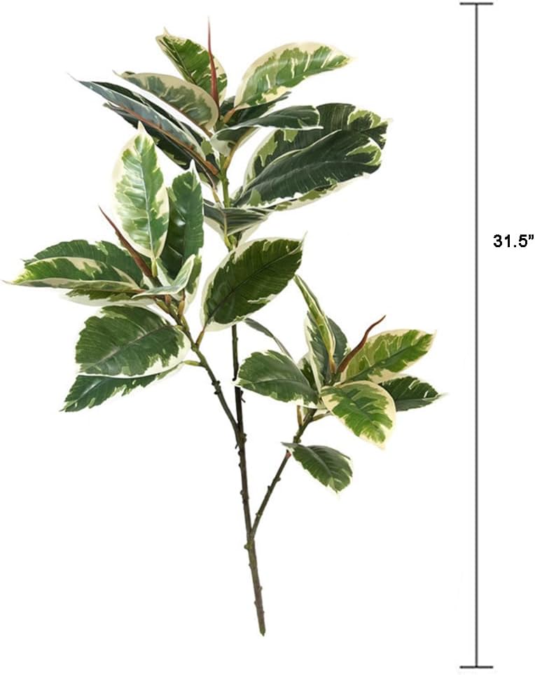 Ficus tineke planta artificial - Rubber Plant Ficus avaliação e preço