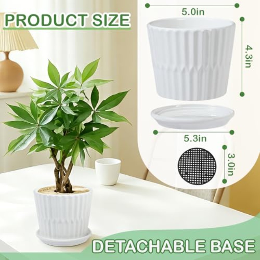Vasos de Plantas - Vasos Cilín - Snake Plant Ceramic avaliação e preço
