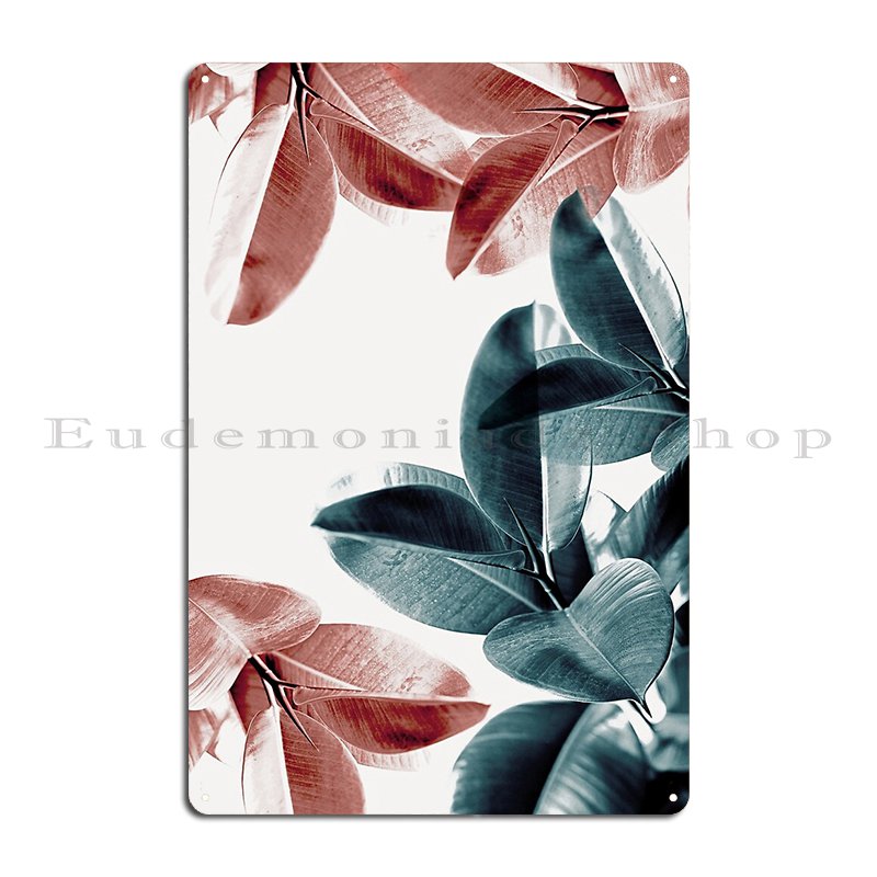 Folhas de plantas de borracha, - Rubber Plant Ficus avaliação e preço