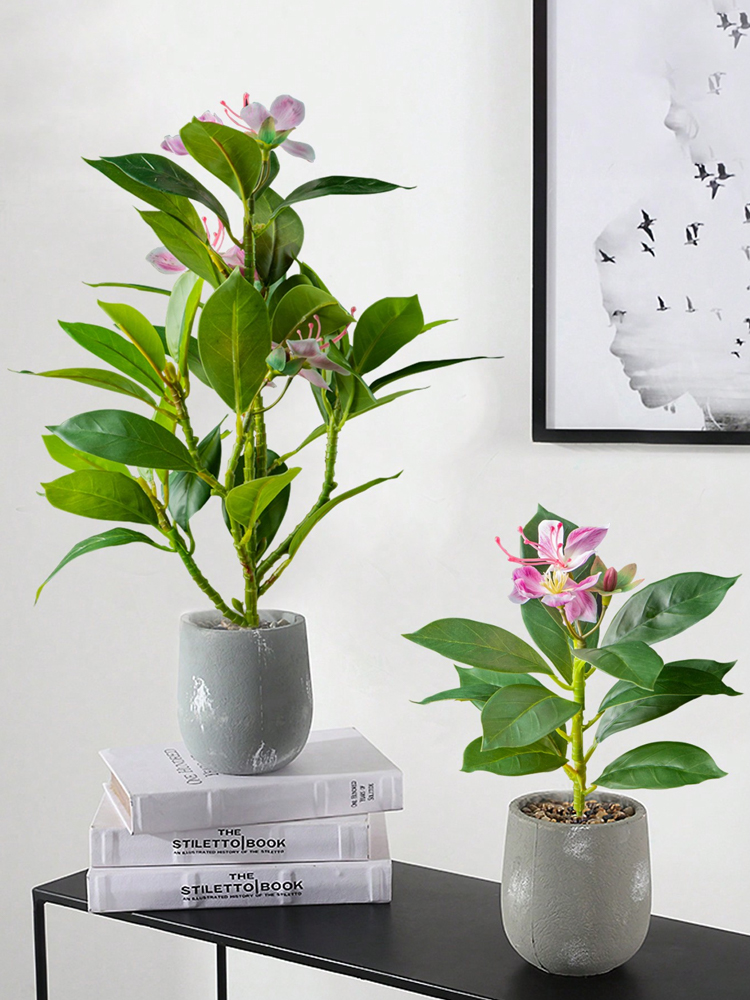 Plantas artificiais azaleas de - Rubber Plant Ficus avaliação e preço