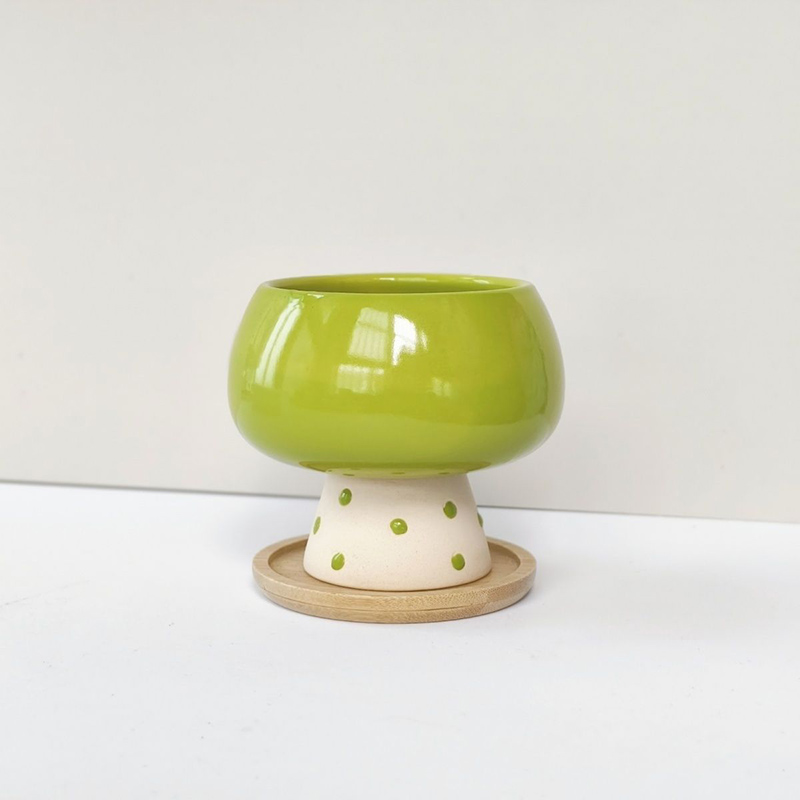 Vaso de Cerâmica Minimalista e - Snake Plant Ceramic avaliação e preço