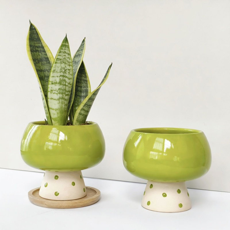 Vaso de Cerâmica Minimalista e - Snake Plant Ceramic avaliação e preço