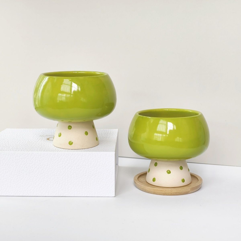 Vaso de Cerâmica Minimalista e - Snake Plant Ceramic avaliação e preço