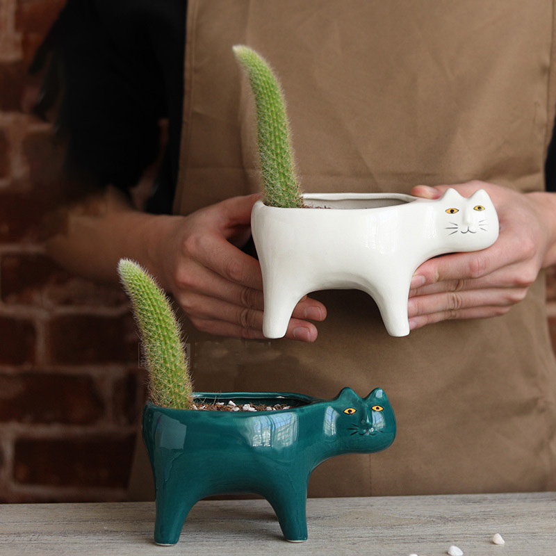 Gato bonito cerâmica jardim va - Snake Plant Ceramic avaliação e preço