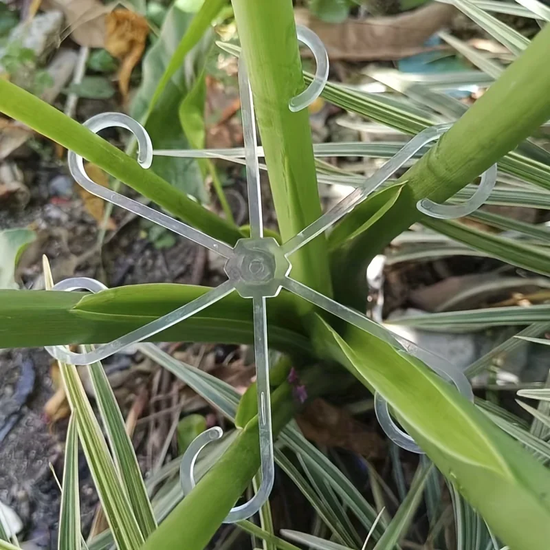4 Peças de Clipes de Suporte p - Variegated Monstera Node avaliação e preço