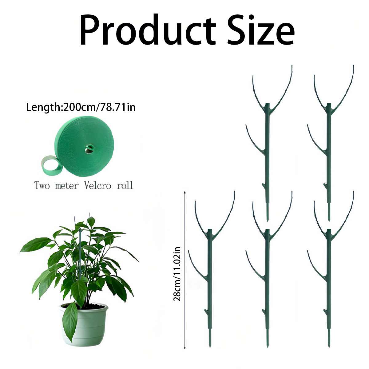 6 Estacas de Suporte para Plan - Variegated Monstera Node avaliação e preço