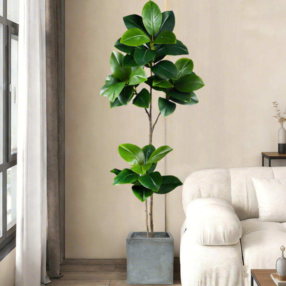 Árvore artificial de borracha  - Rubber Plant Ficus avaliação e preço