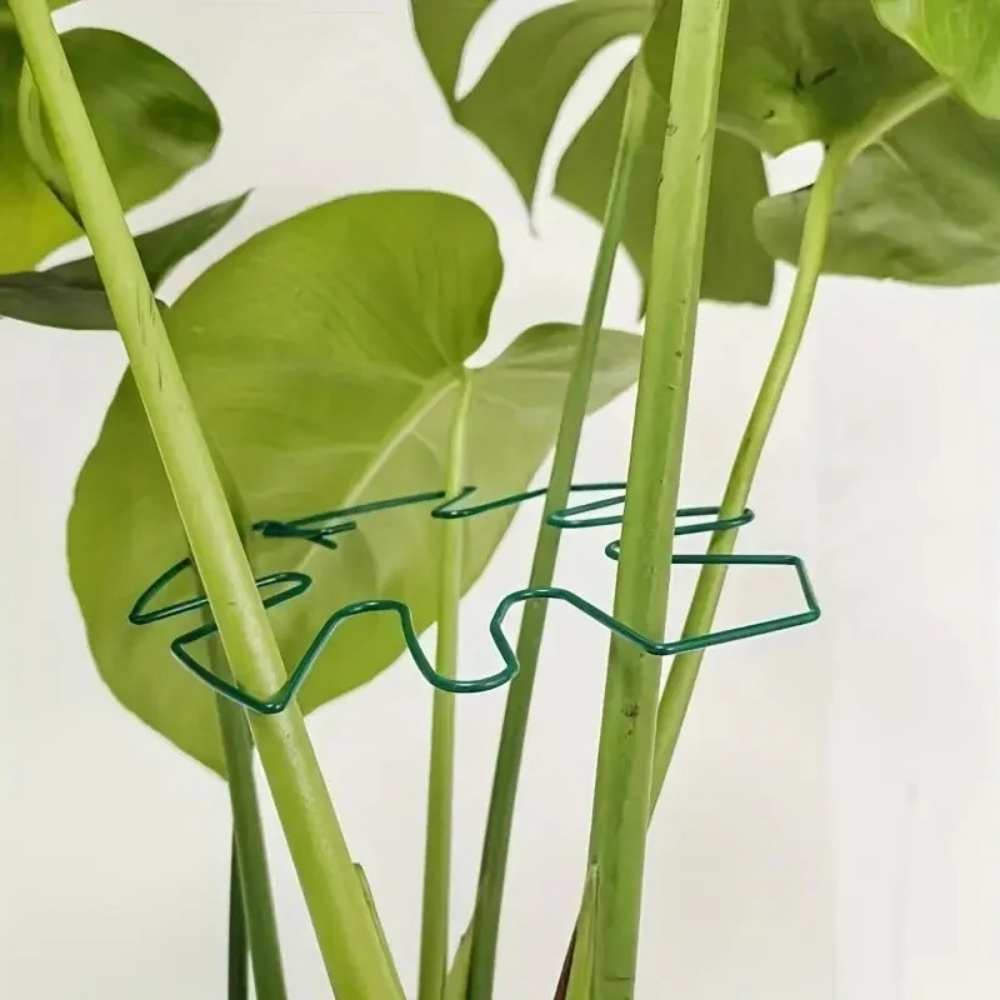 Suporte Grande para Plantas In - Variegated Monstera Node avaliação e preço