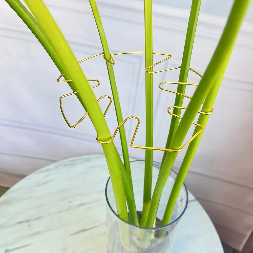 Suporte Grande para Plantas In - Variegated Monstera Node avaliação e preço