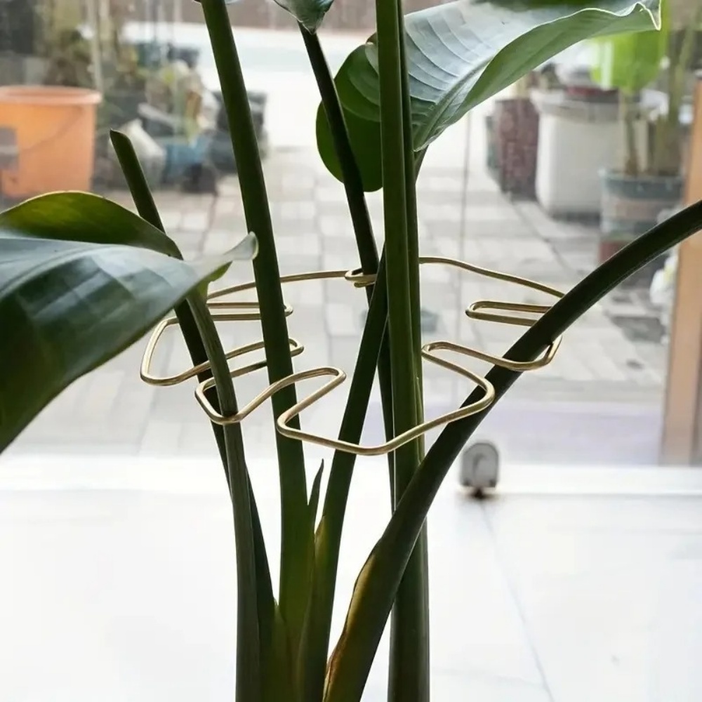 Suporte Grande para Plantas In - Variegated Monstera Node avaliação e preço