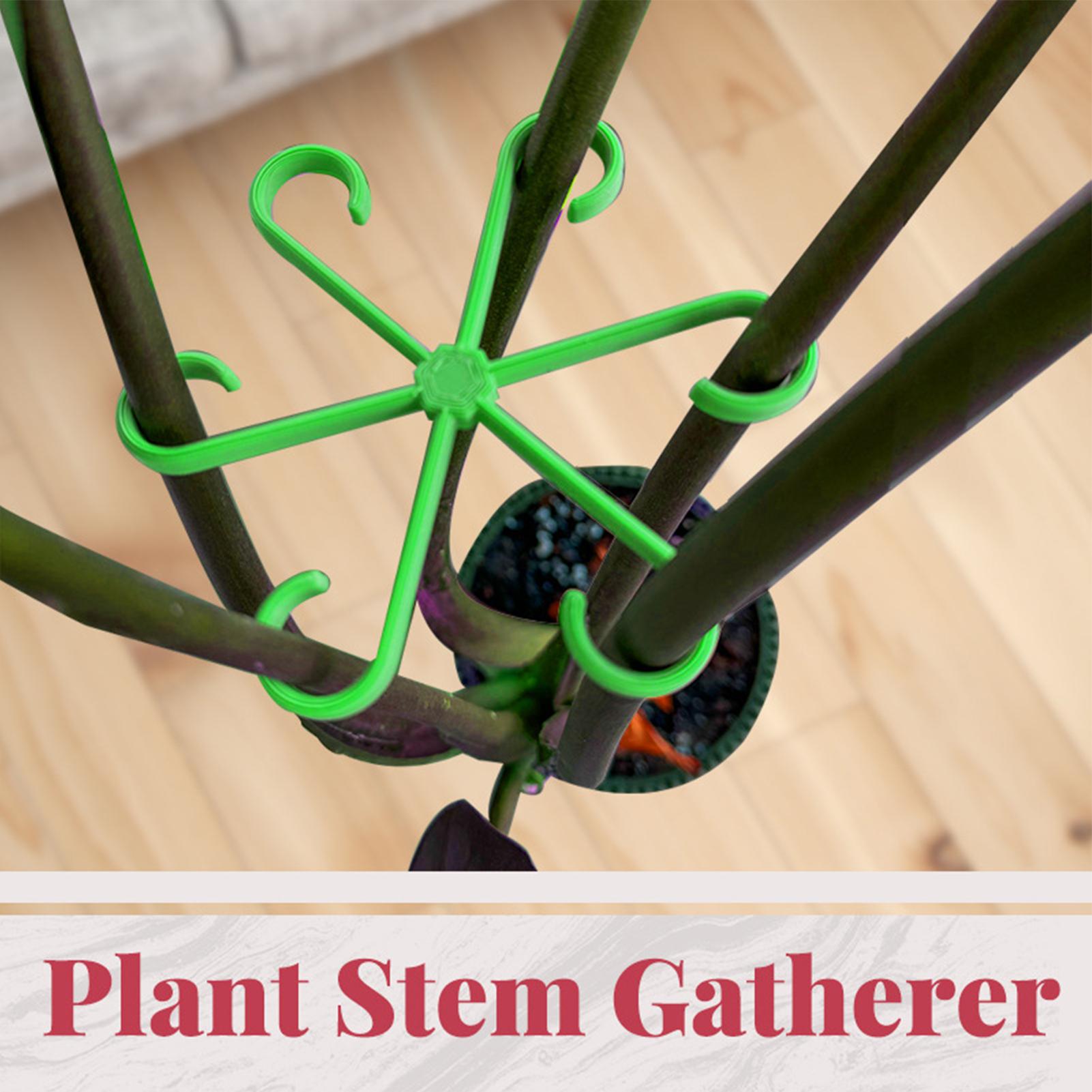 4 Peças de Clipes de Suporte p - Variegated Monstera Node avaliação e preço