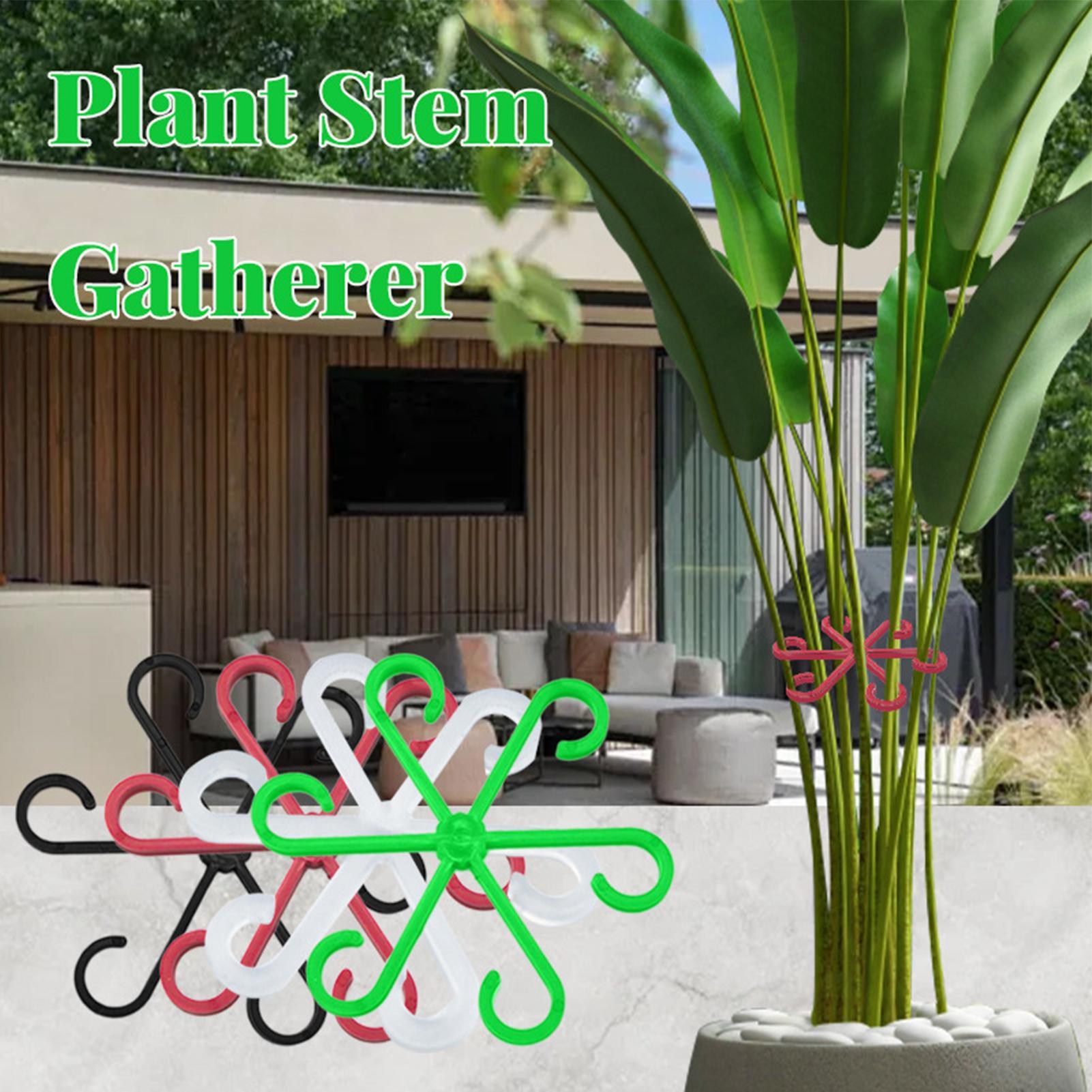 4 Peças de Clipes de Suporte p - Variegated Monstera Node avaliação e preço